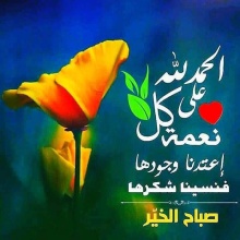 الصورة الشخصية للمعرض